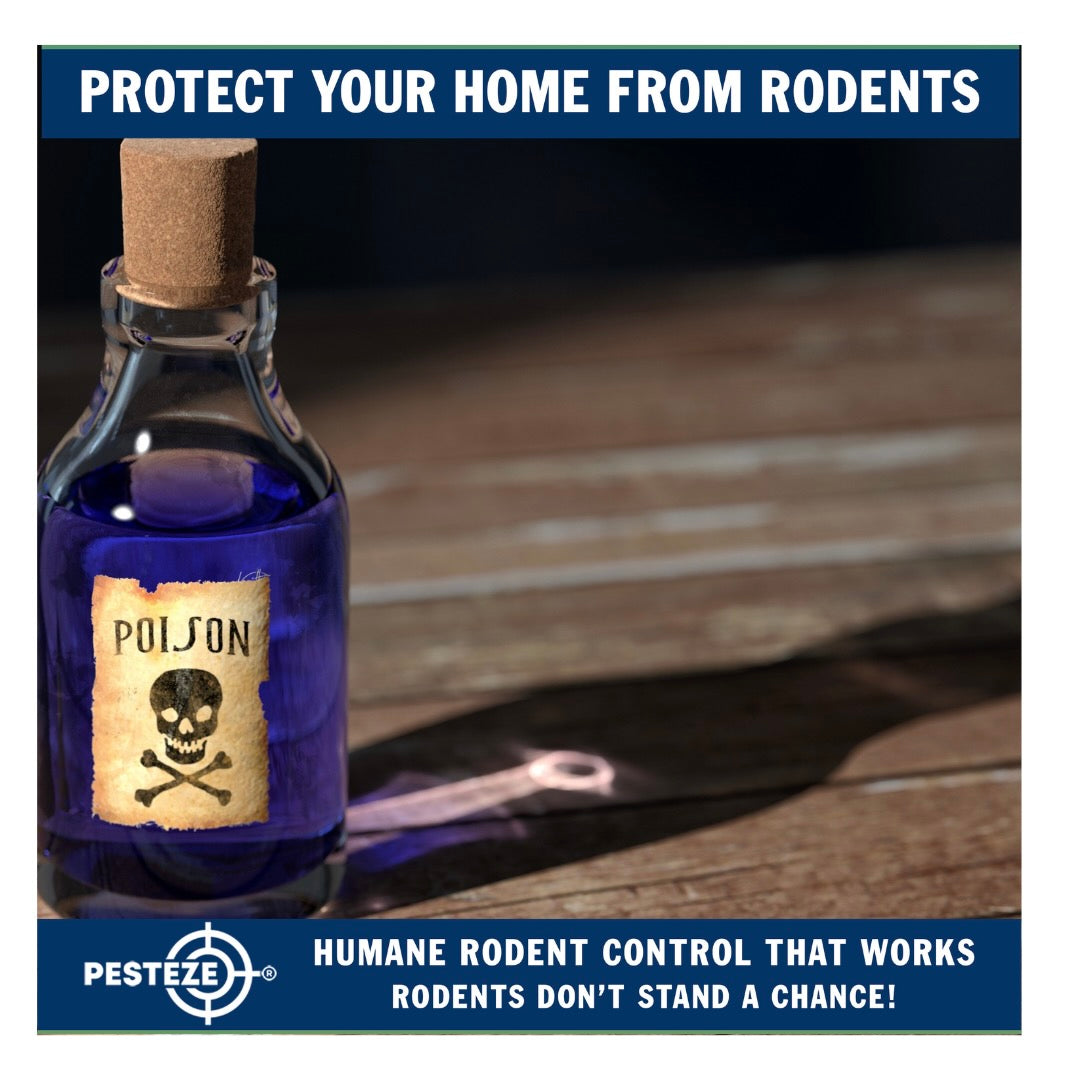 HOW TO DETER RODENTS NATURALLY WITHOUT USING POISON