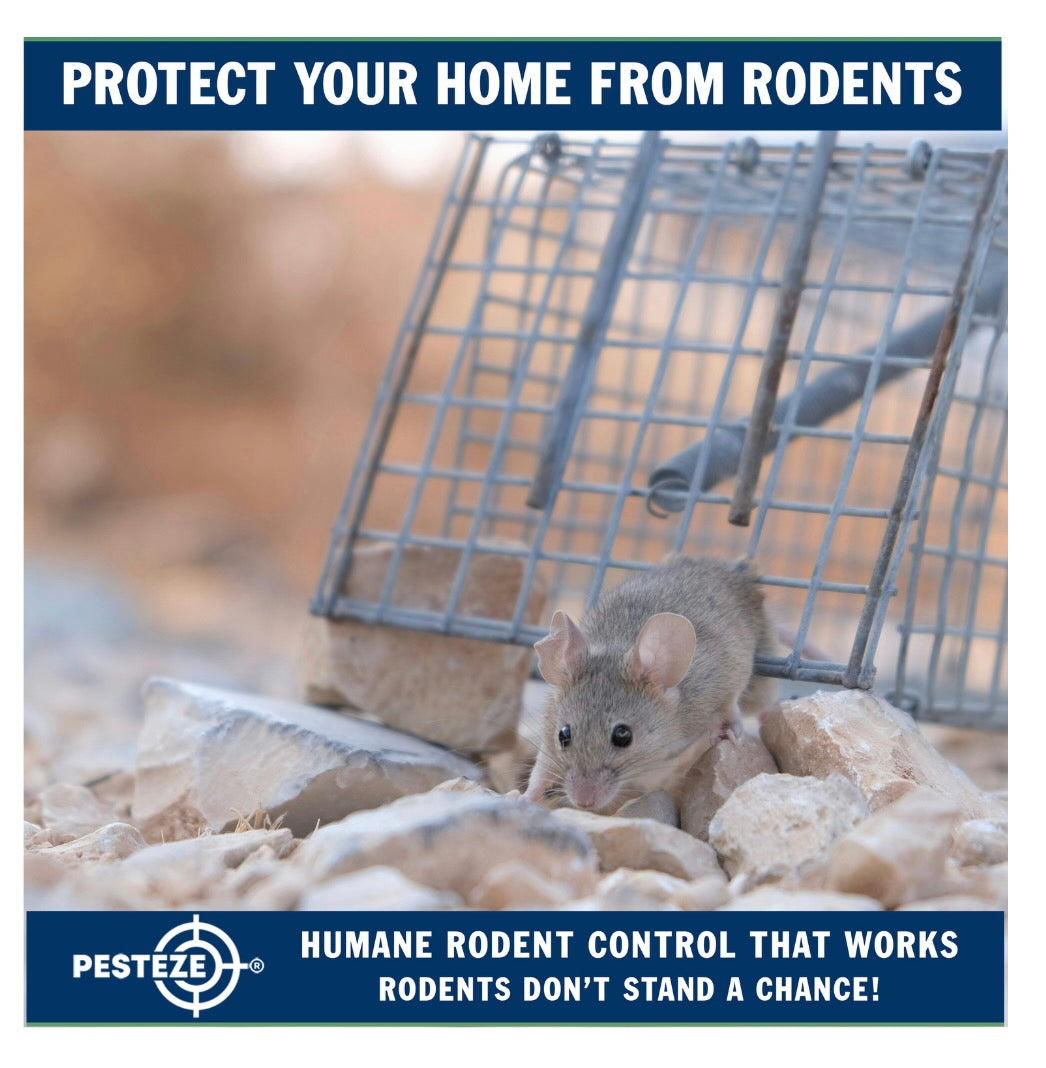 LIVE TRAPS FOR RODENTS: HOW TO CATCH AND RELEASE MICE AND RATS