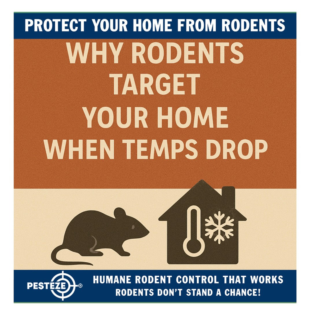 FALL INVASION: WHY RODENTS TARGET YOUR HOME WHEN TEMPS DROP
