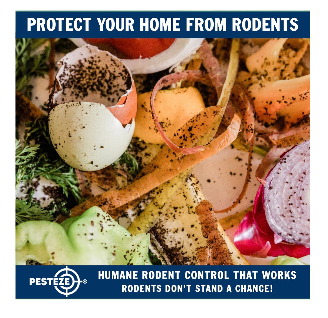 RODENTS AND FOOD CONTAMINATION: PREVENTION TIPS FOR HOMEOWNERS
