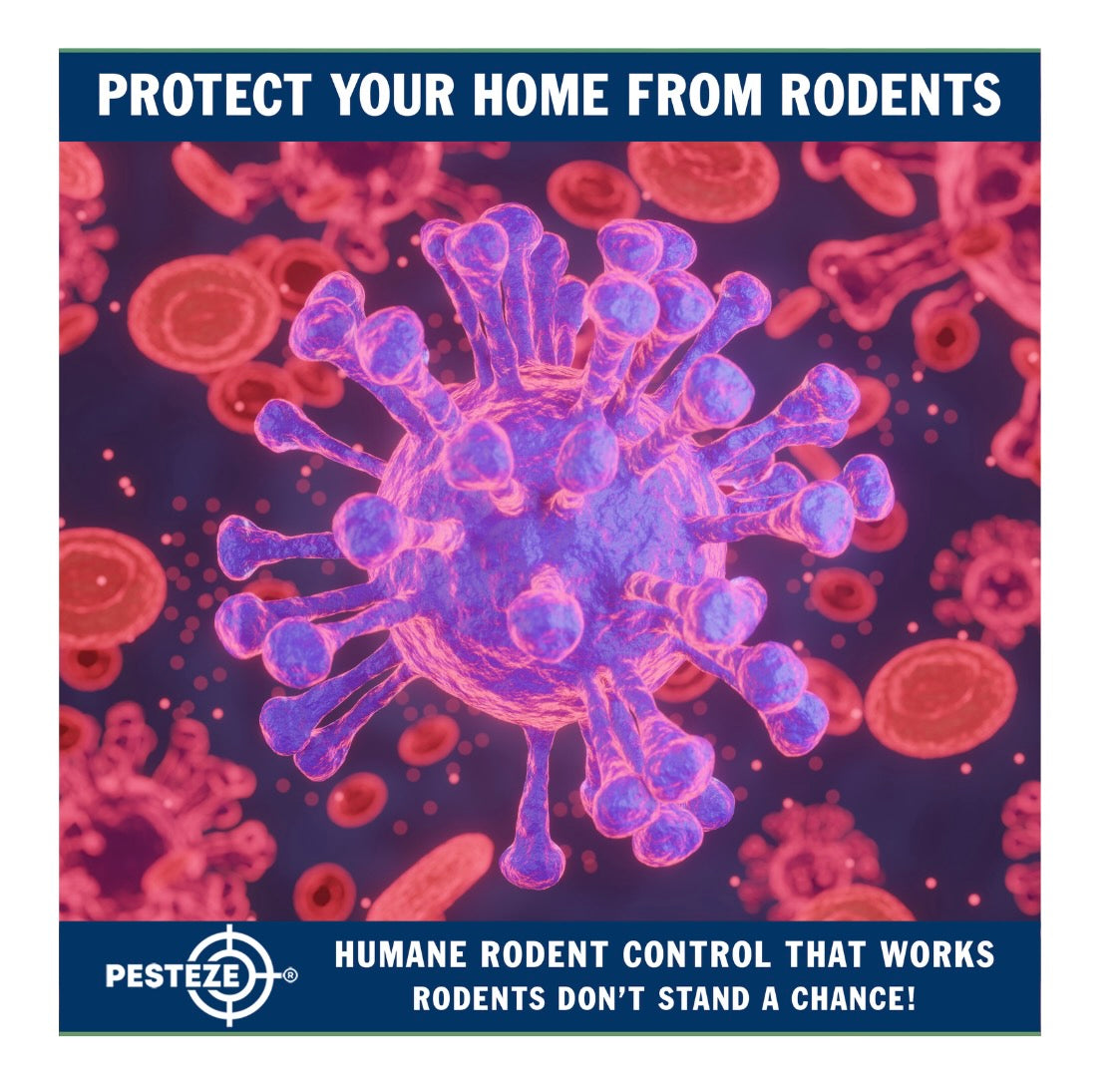 RODENT-BORNE DISEASES IN THE U.S.: WHAT TO WATCH FOR