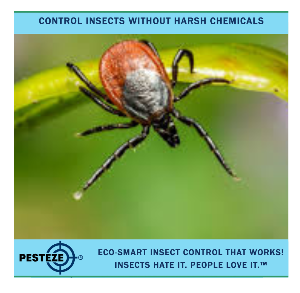 USING ESSENTIAL OILS TO REPEL FLEAS FROM PETS