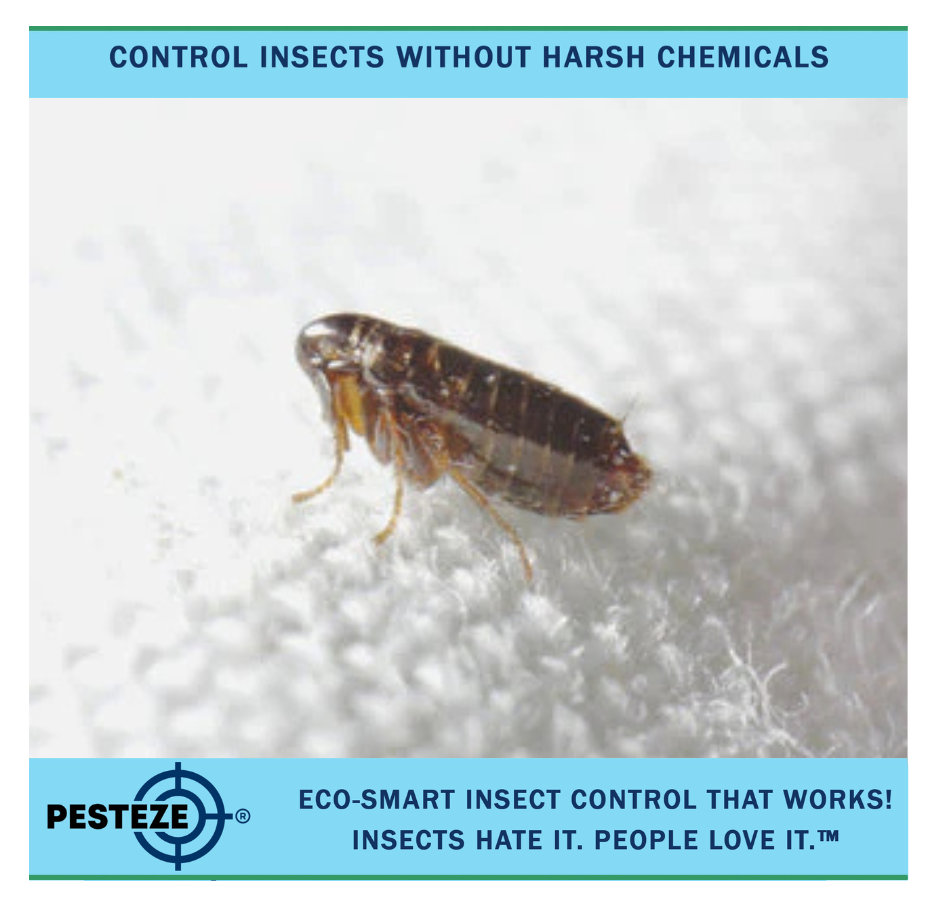 HOW TO DETER FLEAS FROM PET BEDDING