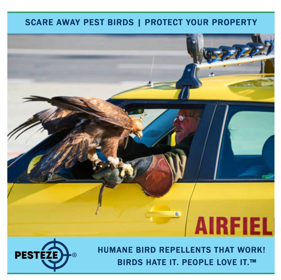 ENSURE SAFE SKIES WITH EFFECTIVE BIRD DETERRENTS AT AIRPORTS!