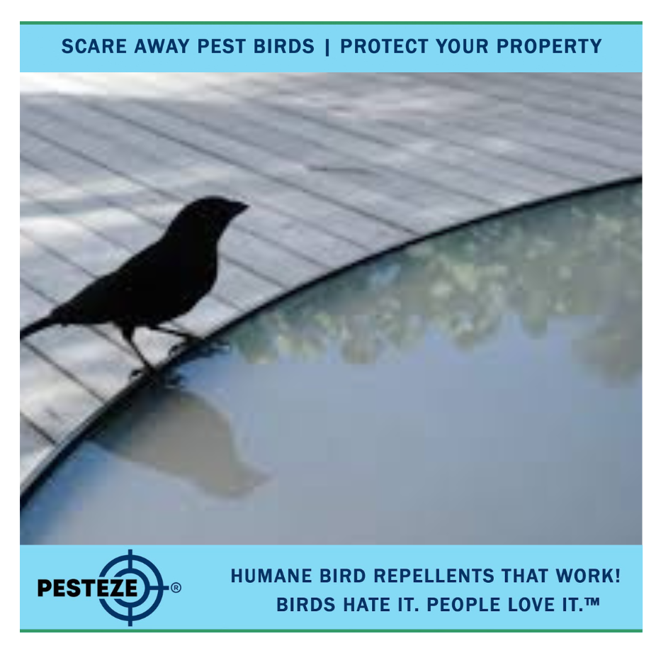 KEEP BIRDS AWAY FROM YOUR PATIO WITH SIMPLE, HUMANE SOLUTIONS!