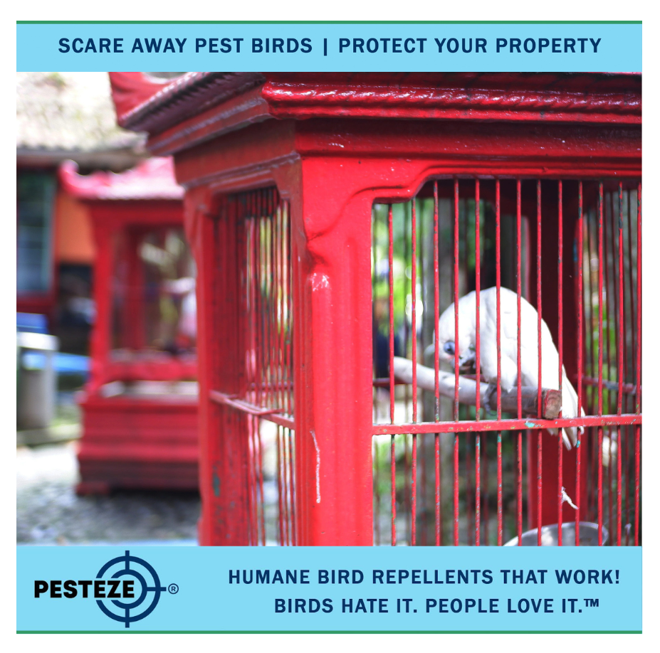 KEEP BIRDS AWAY FROM AMUSEMENT PARKS WITH SIMPLE, HUMANE SOLUTIONS
