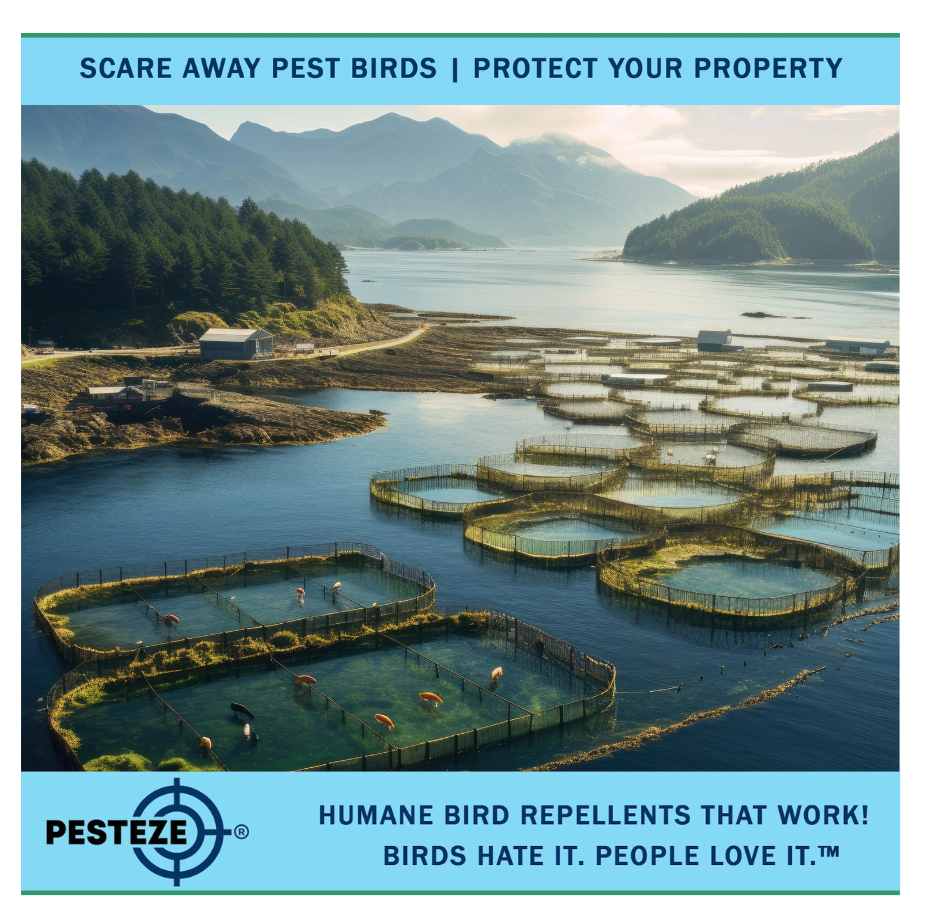 KEEP BIRDS AWAY FROM FISH FARMS WITH PROVEN SOLUTIONS