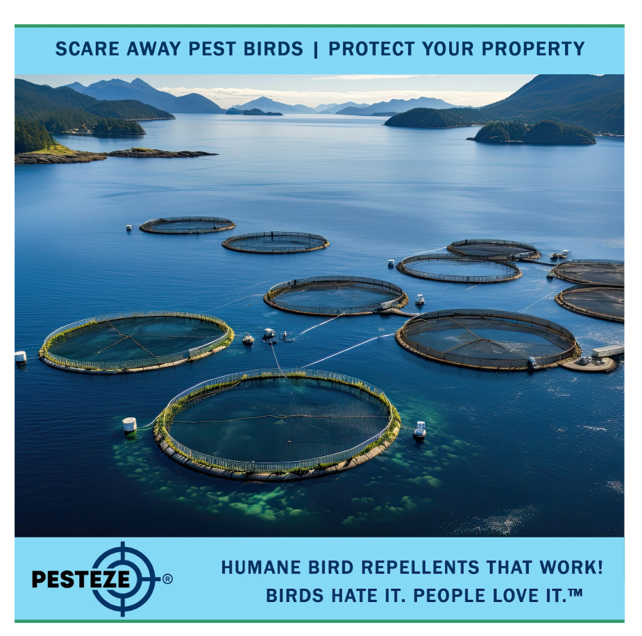 KEEP BIRDS AWAY FROM AQUACULTURE SITES WITH SMART SOLUTIONS