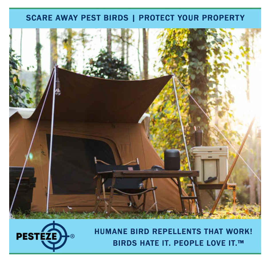 KEEP BIRDS AWAY FROM CAMPING SITES WITH SIMPLE STRATEGIES