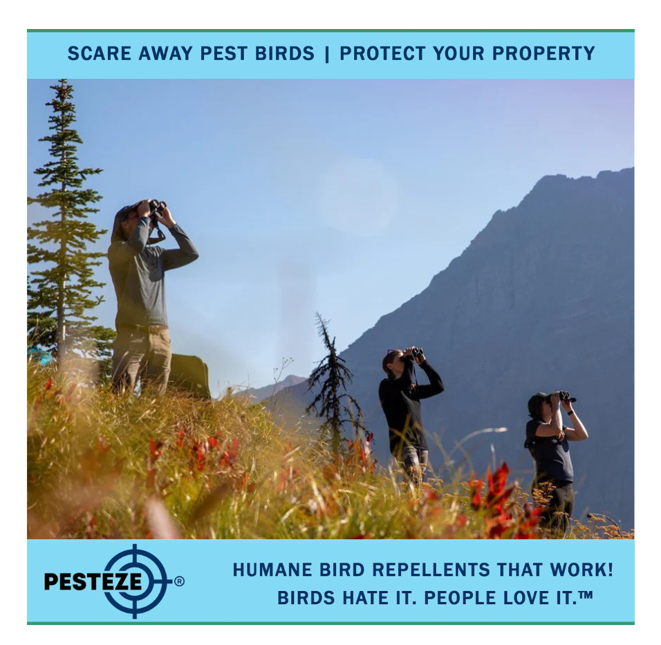 PREVENT BIRD DISTURBANCES IN NATIONAL PARKS WITH SMART TECHNIQUES