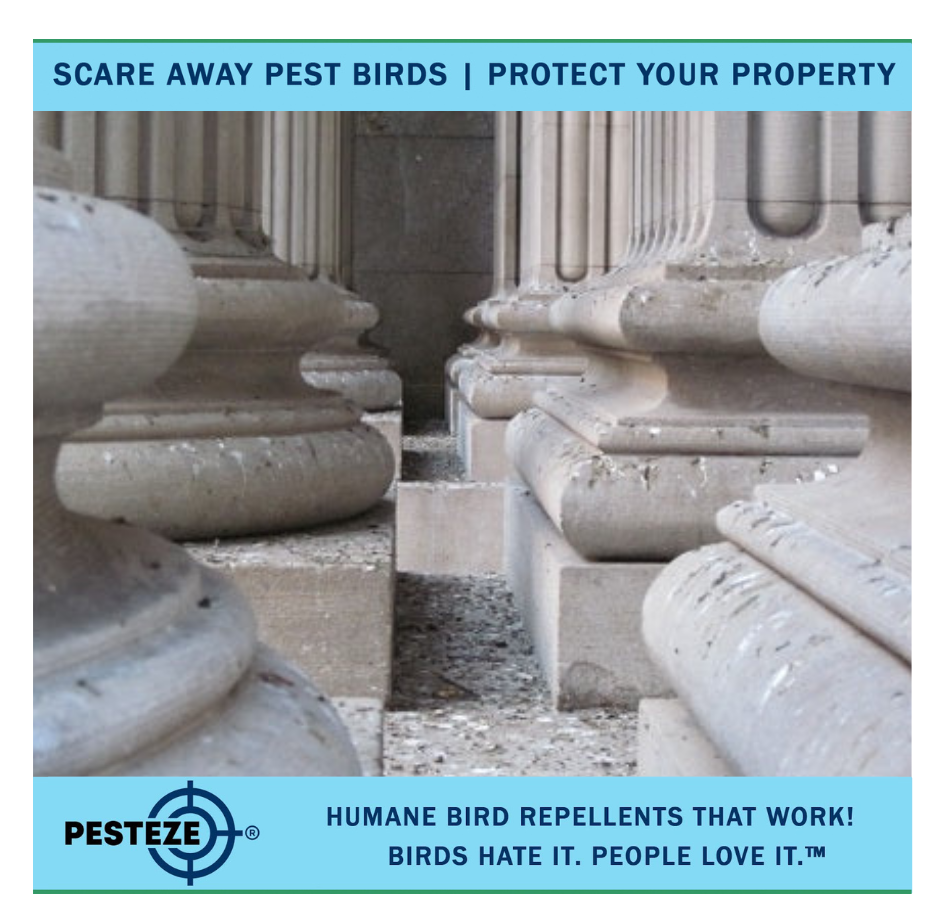 BIRD DETERRENTS FOR HISTORIC BUILDINGS: PRESERVE HISTORY WHILE KEEPING BIRDS AWAY!