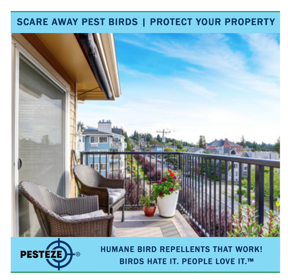 BIRD DETERRENTS FOR APARTMENT BALCONIES: KEEP YOUR SPACE BIRD-FREE!
