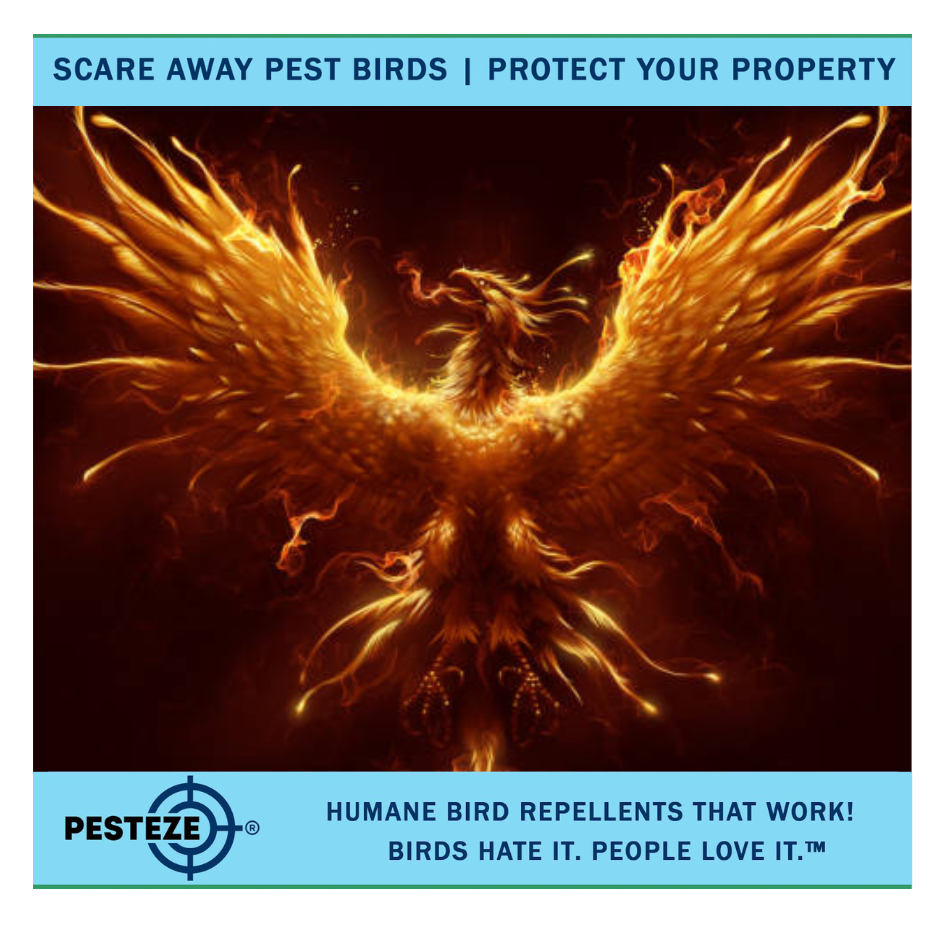 TOP BIRD DETERRENCE MYTHS DEBUNKED: GET THE FACTS!
