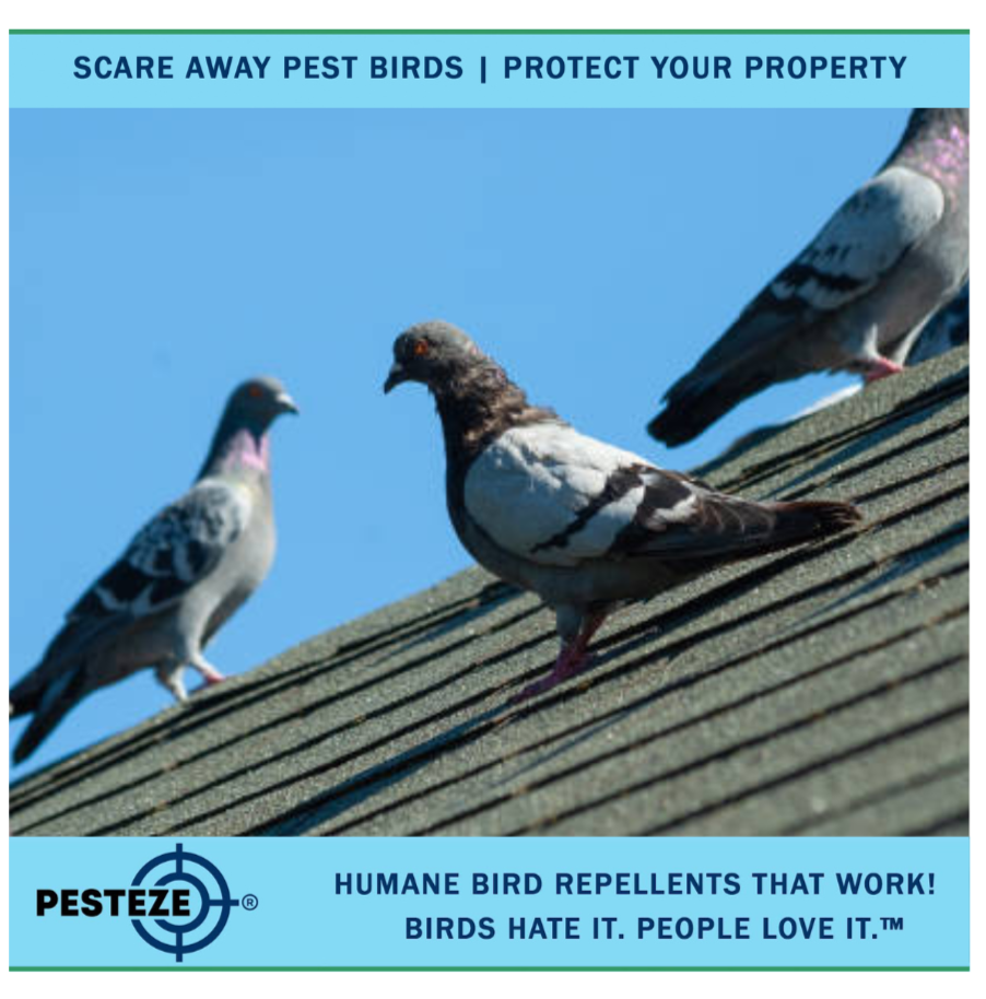 KEEP YOUR ROOF EDGE BIRD-FREE WITH EFFECTIVE DETERRENTS!