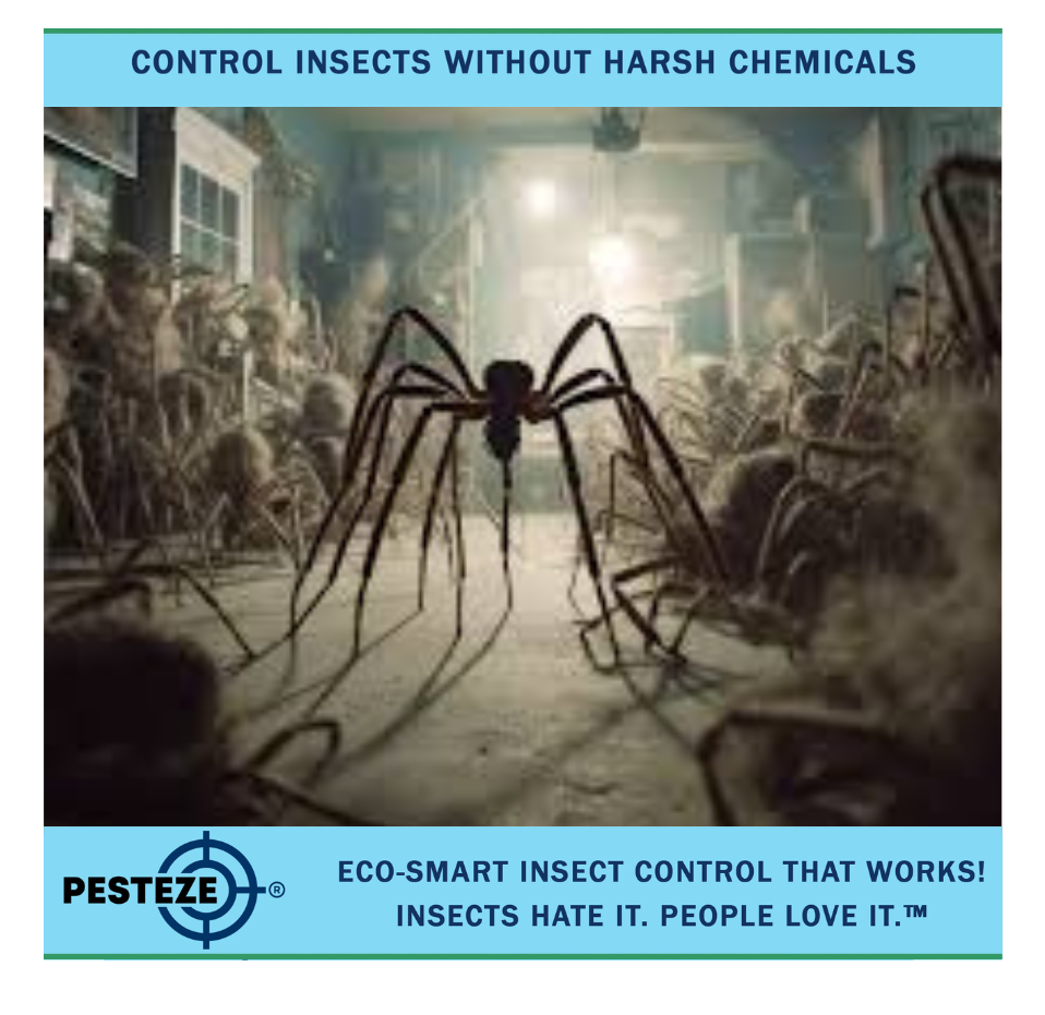 How to Keep Spiders Out of Basements