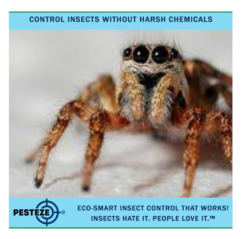 HOW TO DETER SPIDERS FROM BATHROOMS