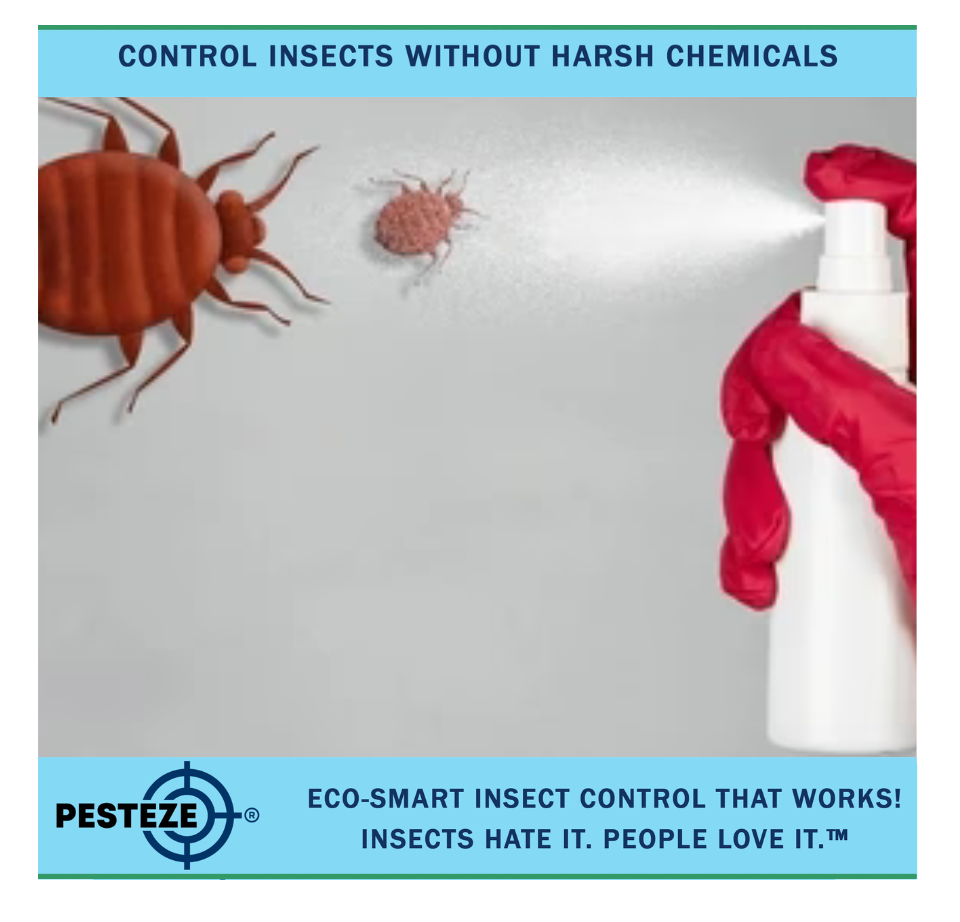 HOW TO DETER BED BUGS FROM HOME