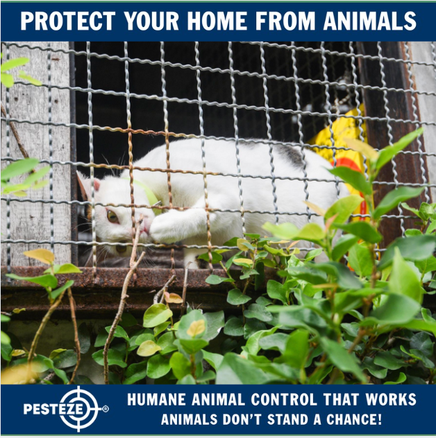 TOP ANIMAL CONTROL STRATEGIES FOR SUBURBAN HOMES