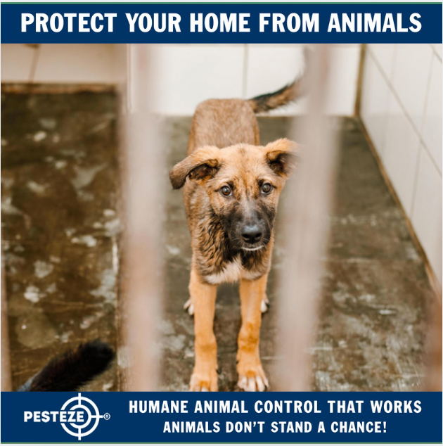 EVERYTHING YOU NEED TO KNOW ABOUT ANIMAL CONTROL LAWS