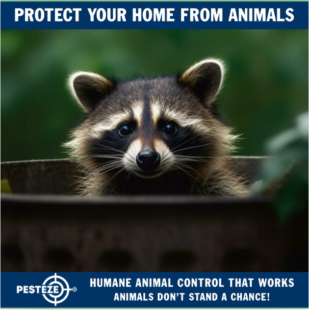 ANIMAL CONTROL TIPS TO KEEP YOUR HOME WILDLIFE-FREE