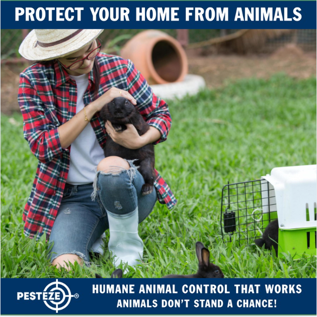 WHAT IS ANIMAL CONTROL? A BEGINNER’S GUIDE