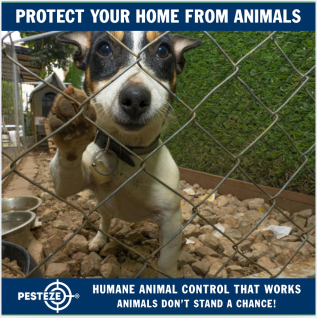 A STEP-BY-STEP GUIDE TO HUMANE ANIMAL CONTROL
