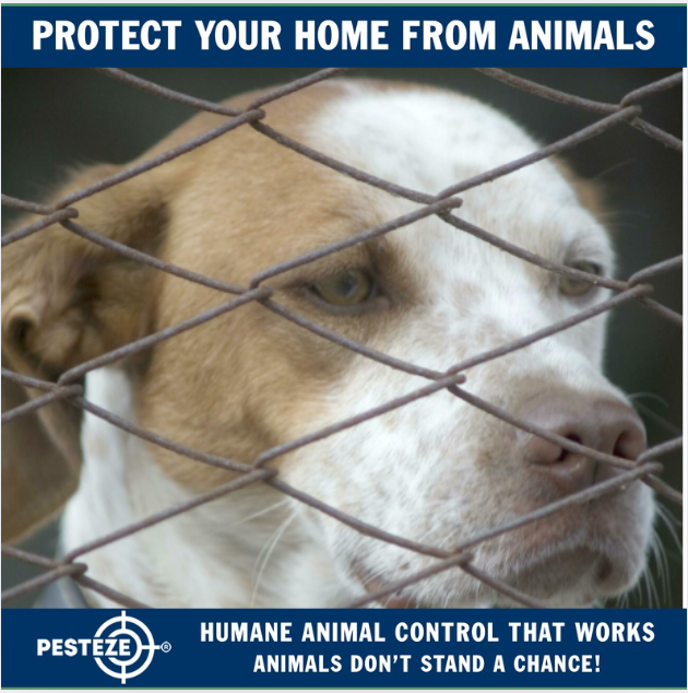 HOMEOWNER’S CHECKLIST FOR ANIMAL CONTROL AND SAFETY