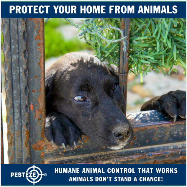 ANIMAL CONTROL SOLUTIONS FOR RESIDENTIAL PROPERTIES