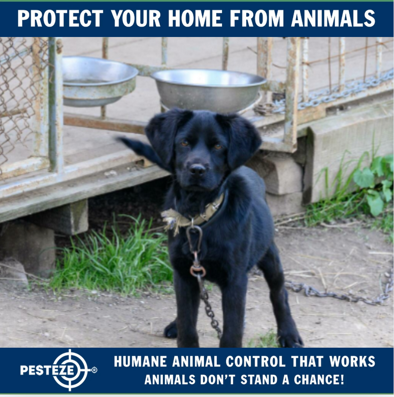 Picture of SAFE AND HUMANE ANIMAL CONTROL METHODS – Pesteze