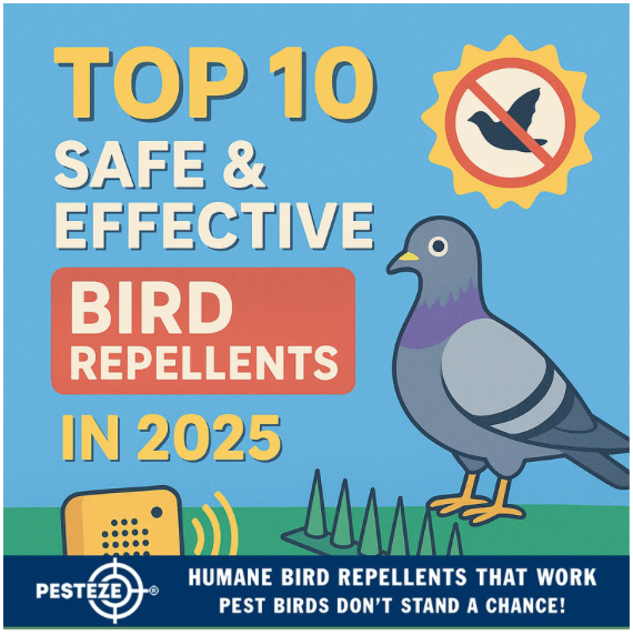 TOP 10 SAFE & EFFECTIVE BIRD REPELLENTS IN 2025 – KEEP PEST BIRDS AWAY WITHOUT HARM