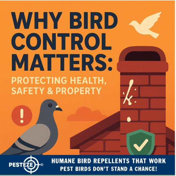 WHY BIRD CONTROL MATTERS: PROTECTING HEALTH, SAFETY & PROPERTY