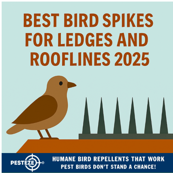 BEST BIRD SPIKES FOR LEDGES AND ROOFLINES 2025