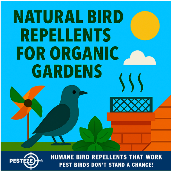 NATURAL BIRD REPELLENTS FOR ORGANIC GARDENS