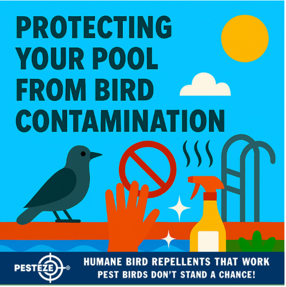 PROTECTING YOUR POOL FROM BIRD CONTAMINATION