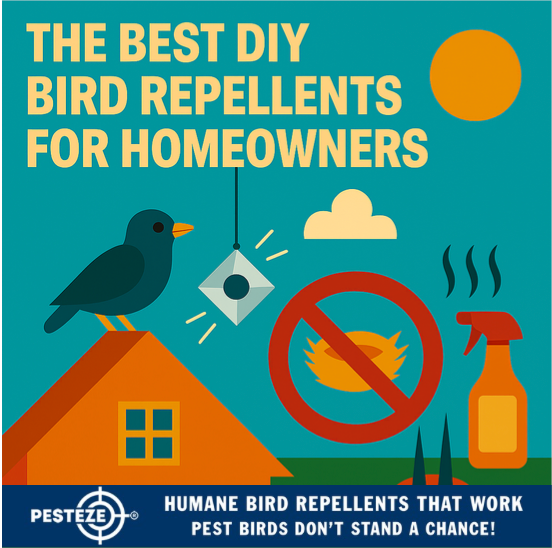 THE BEST DIY BIRD REPELLENTS FOR HOMEOWNERS