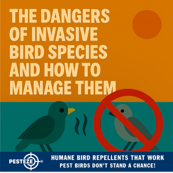 THE DANGERS OF INVASIVE BIRD SPECIES AND HOW TO MANAGE THEM