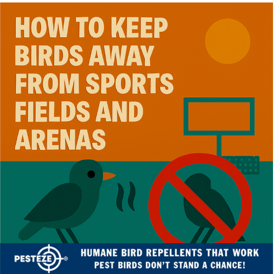 HOW TO KEEP BIRDS AWAY FROM SPORTS FIELDS AND ARENAS
