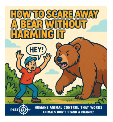 HOW TO SCARE AWAY A BEAR WITHOUT HARMING IT