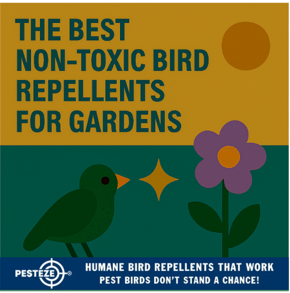THE BEST NON-TOXIC BIRD REPELLENTS FOR GARDENS
