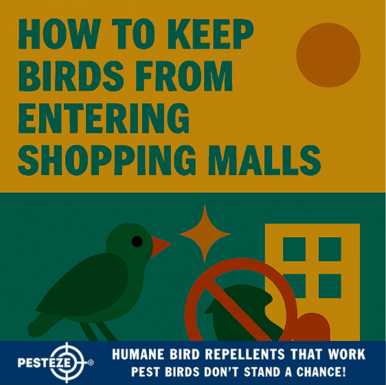 HOW TO KEEP BIRDS FROM ENTERING SHOPPING MALLS