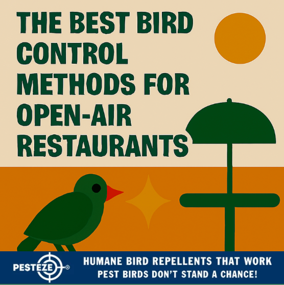 THE BEST BIRD CONTROL METHODS FOR OPEN-AIR RESTAURANTS