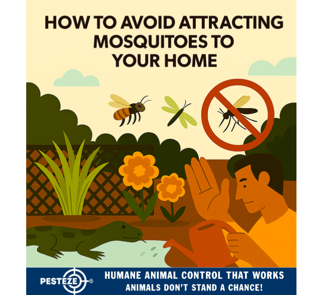 HOW TO AVOID ATTRACTING MOSQUITOES TO YOUR HOME