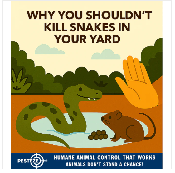 WHY YOU SHOULDN’T KILL SNAKES IN YOUR YARD