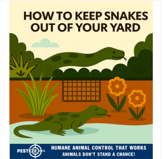 HOW TO KEEP SNAKES OUT OF YOUR YARD