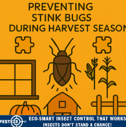 PREVENTING STINK BUGS DURING HARVEST SEASON