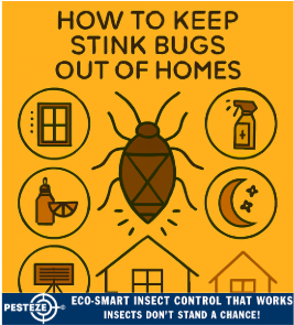 HOW TO KEEP STINK BUGS OUT OF HOMES