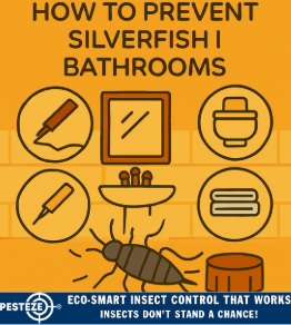 HOW TO PREVENT SILVERFISH IN BATHROOMS
