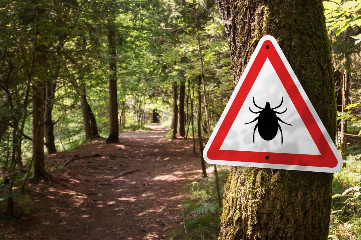How to Prevent Rickettsial Diseases from Ticks in Connecticut