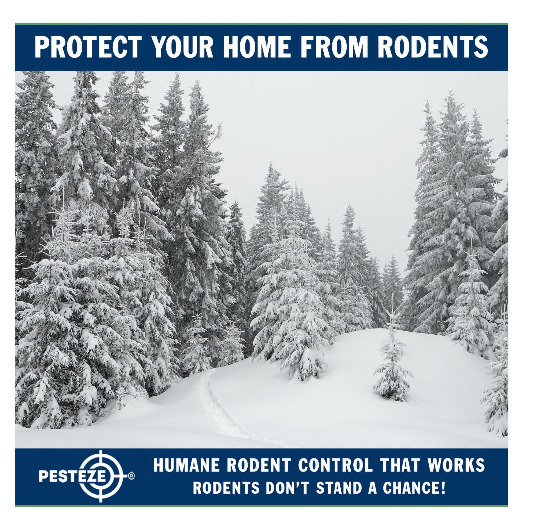 STOP WINTER RODENT INVASIONS BEFORE THEY START