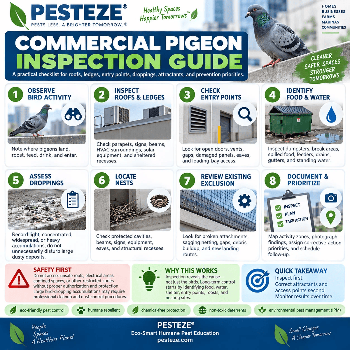 Commercial Pigeon Inspection Guide